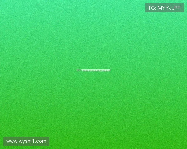 857最新版本软件下载及安装使用全攻略指南